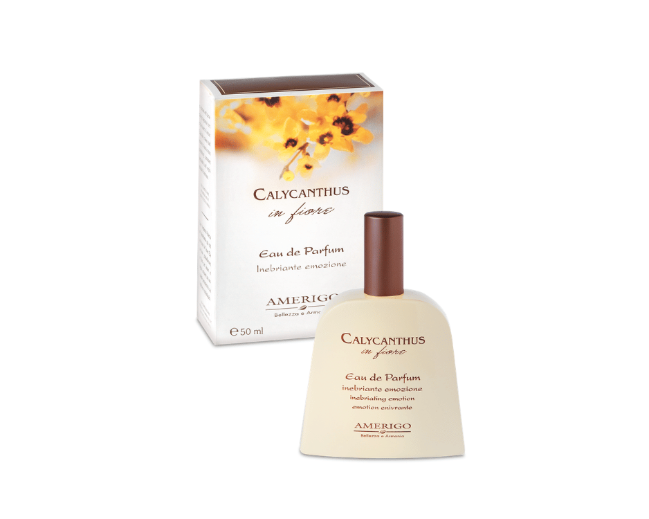 Profumo Calycanthus in fiore Eau de Parfum 50ml Amerigo