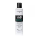 Lacca Ecologica Helen Seward QUICK&EASY Styling Definer 250ml Fissaggio Medio