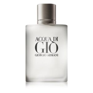Giorgio Armani Acqua Di Giò Eau de Toilette Spray 100ml