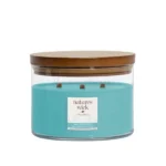 Candela profumata grande 433g WoodWick Nature's Wick Fresh Water & Moss