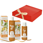 Kit Donna Amerigo Agrumi & Frutti Olio Corpo Profumato 100ml e Gel Doccia 250ml